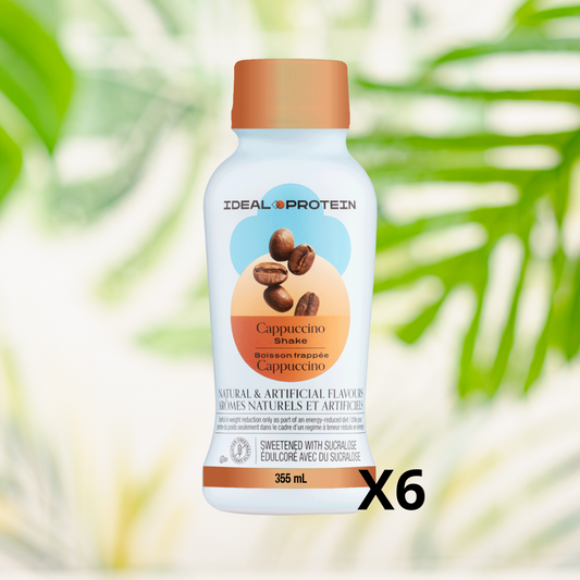 Boisson au cappuccino (prêt-à-servir) Paquet de 6