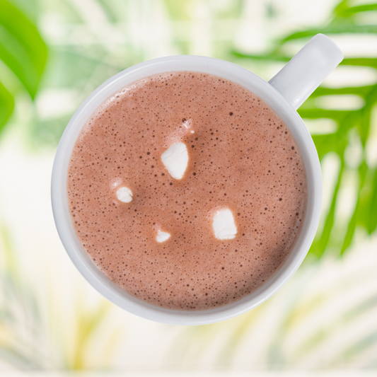 Boisson pour préparation chocolat chaud S'mores