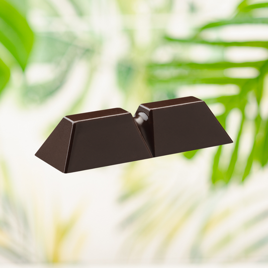 Mini barres chocolat noir sel de mer